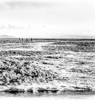 WalkingOnChileanSaltFlats