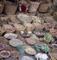 moroccanherbalist