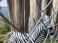 Little sculpture garden behind a payfence