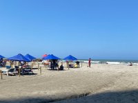Trip to the beach