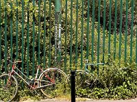 Strange things grow in Paris