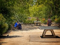 Ping Pong in Rchard Lenoir parc