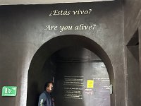 No translation needed