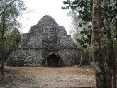 Coba 008