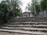 Groupa Coba 2