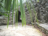Groupa Coba 5