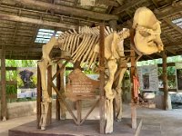 Part of the education center at the Eco Elephant Sactuary