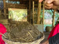 Part of the lecture - this one about poo paper: Elephant poop