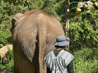 Ta Ta's Mahout, a Bermese named Boy.