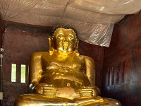 The Happy Buddha