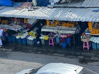 IMG 3954