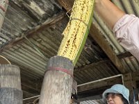 pushing the fruit through a tube in order to grate it