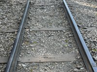 IMG 3230