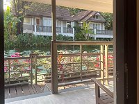 View from my room in Sukothai