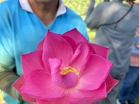 IMG 3668