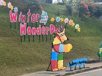 IMG 4105 2