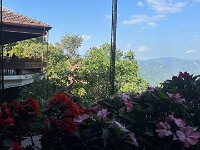 IMG 4134 2
