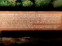 IMG 4195 2