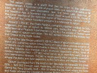 IMG 4197 2