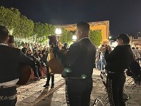 Wandering bands every night