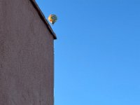 Not sure why there were balloons..