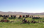 t_farmimpliments02.jpg - 6632 Bytes