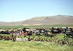 t_farmimpliments03.jpg - 8013 Bytes