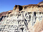 t_fossilbeds02.jpg - 12497 Bytes