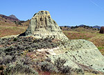 t_fossilbeds07.jpg - 11354 Bytes