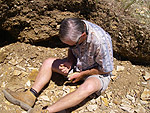 t_fossils.jpg - 13614 Bytes
