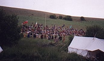 opng.jpg - 11013 Bytes