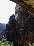 Weeping Rock, Zion National Park