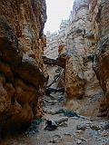 Navajo Loop