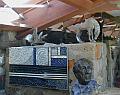 Taliesen West