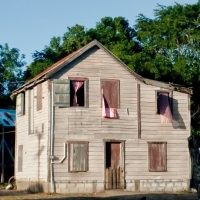 pinkcurtains