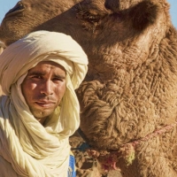 hamzaandhiscamel