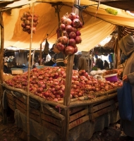onionbuyer