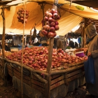 onionbuyer