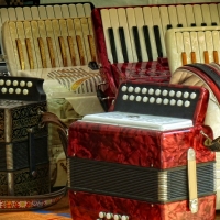 accordions