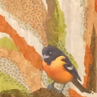 baltimoreorioleCollage