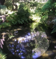 Tea Garden Bridge