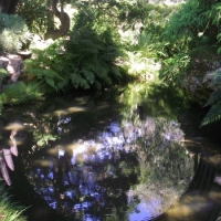 Tea Garden Bridge